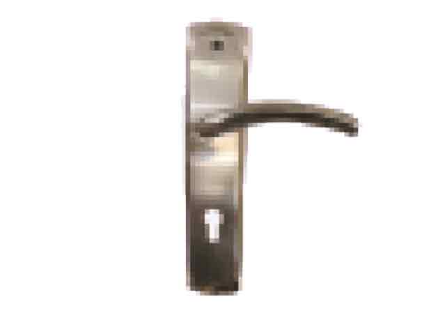 Sliver Door Handle